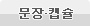 문장캡슐
