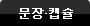 문장캡슐